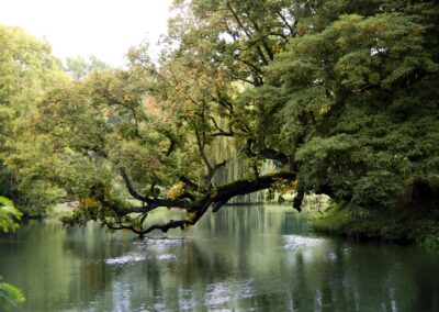 Szydłowiec 31.08. 2025-025